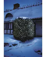 Utomhusbuske täckt av snö, dekorerad med varmvita LED-ljusslingor, skapar en festlig och mysig vinterstämning framför ett snötäckt hus.