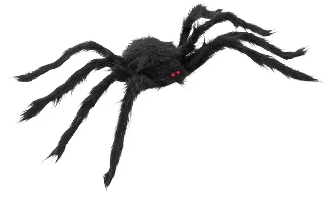 Stor svart spindeldekoration med åtta böjbara ben och två små röda ögon. Realistisk, lätt och perfekt för Halloween eller festdekoration, både inomhus och utomhus.