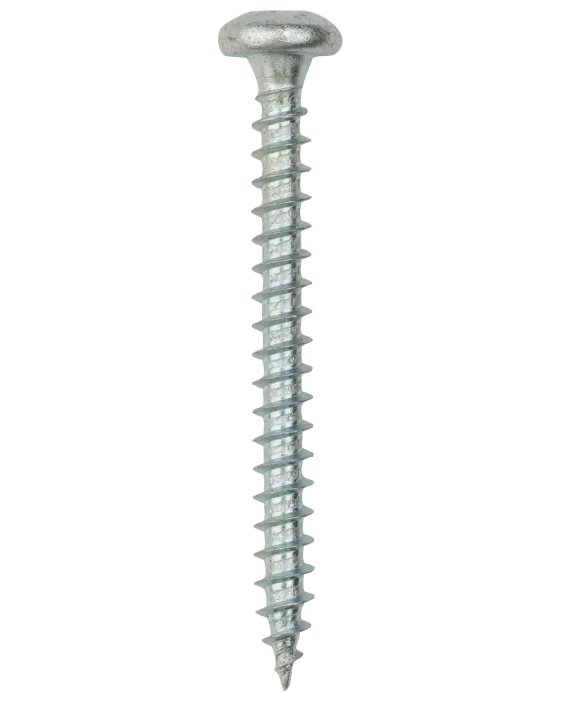 Panskrue 5,0 x 50 mm TX25 50 stk. 