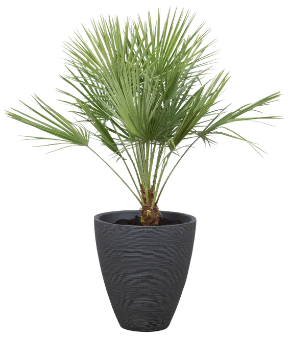 Räfflad kruka 39 cm antracit