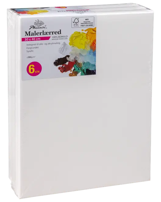 Målarduk på ram 30x40 cm 6 st