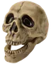 Realistisk plastskalle med rörlig käke, beige färg, mörka ögonhålor och detaljerade tänder, perfekt för Halloween eller temafester.