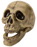 Halloween-kranium 17,4 cm