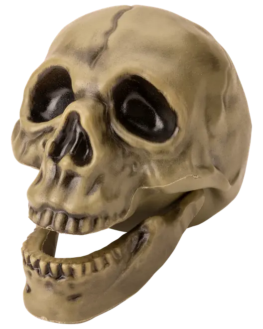 Realistisk plastskalle med rörlig käke, beige färg, mörka ögonhålor och detaljerade tänder, perfekt för Halloween eller temafester.