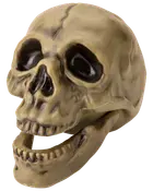 Realistisk plastskalle med rörlig käke, beige färg, mörka ögonhålor och detaljerade tänder, perfekt för Halloween eller temafester.