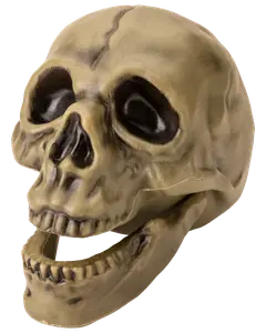 Halloween-kranium 17,4 cm