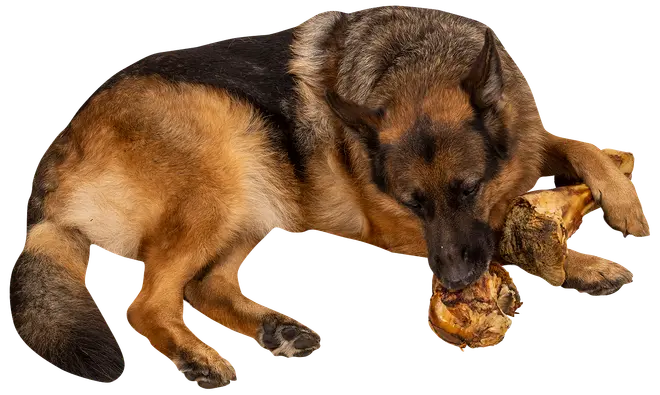 Chrisco Slagterben 1700-2000 g