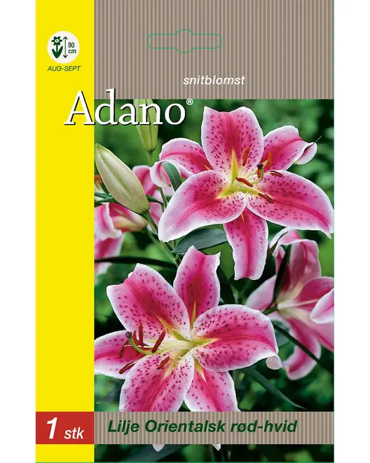 Blomsterløg assorterede varianter