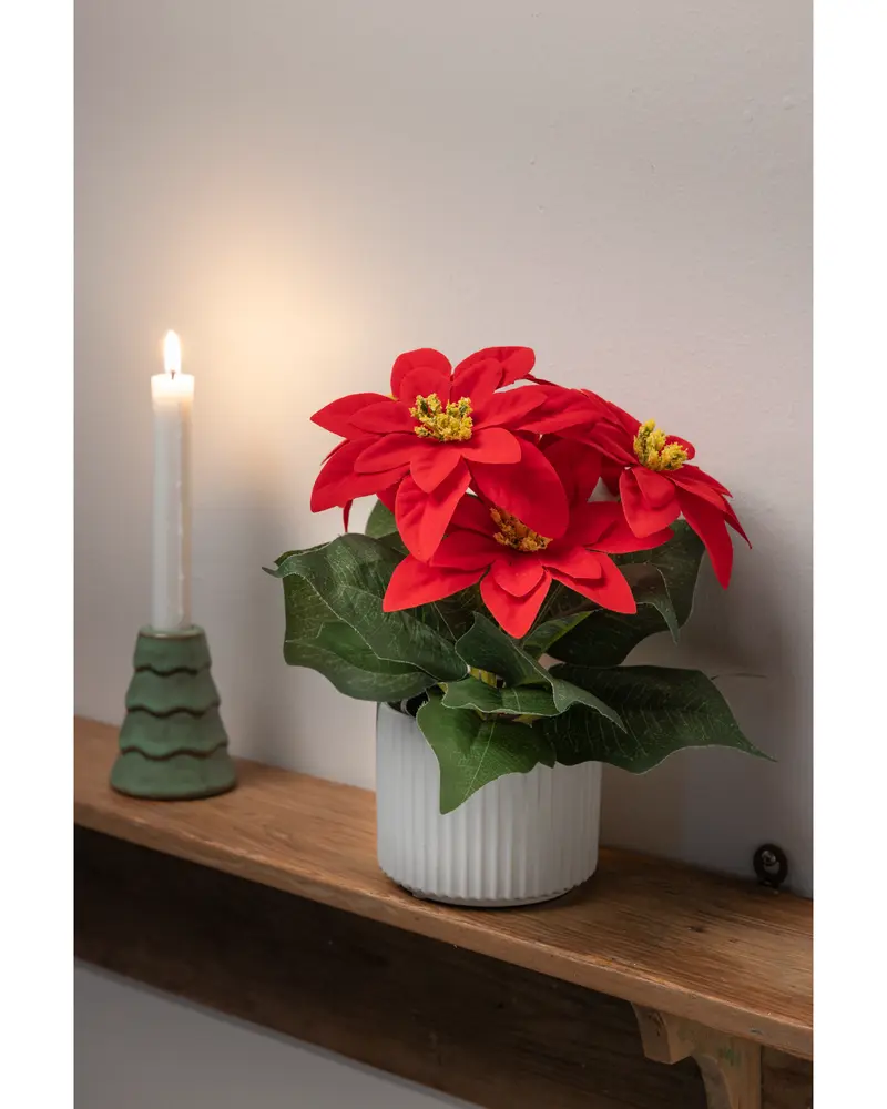 Konstgjord julstjärna med röda blommor och gröna blad i en vit, räfflad kruka. Perfekt för juldekoration. Ljus och grön ljusstake ingår ej.