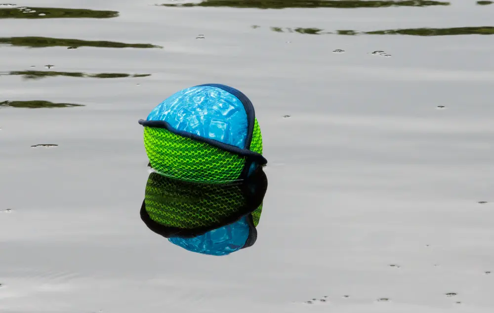 VATTENLEKSAK HUND - BOLL