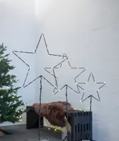 Trädgårdsspett - Stjärna