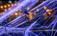 Spindelnät halloween