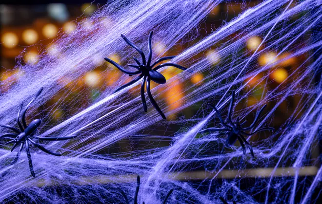 Halloween-dekoration med svarta plastspindlar på vita konstgjorda spindelnät, suddig bakgrund med varma ljus. Passar till skrämmande festdekoration inomhus eller utomhus.