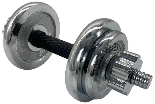 Kilberry Fitness Håndvægt krom 10 kg