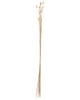 Torkade grenar silver 95-100 cm