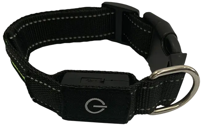 DanPet LED-halsbånd str. S