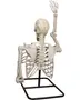 Plastik menneskeskeletmodel på metalstativ, vist bagfra. Den ene arm er løftet, den anden bøjet. Detaljerede knogler, ideel til undervisning eller Halloween dekoration.