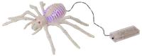 Halloween spindel LED B. 23 cm