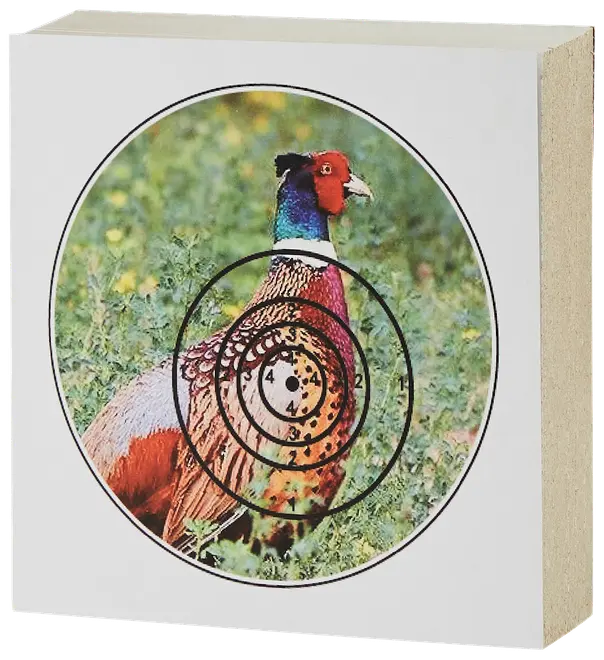 Kvadratisk skjutmål med realistisk fasanbild och poängringar, perfekt för jaktträning. Hållbar konstruktion för upprepad användning med luftgevär eller småkalibriga vapen.