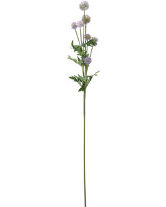 Tidselblomst 89 cm - assorterede farver