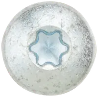 Panskrue 5,0 x 50 mm TX25 50 stk. 