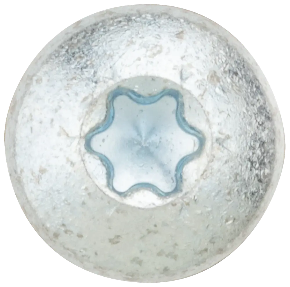 Panskrue 5,0 x 50 mm TX25 50 stk. 