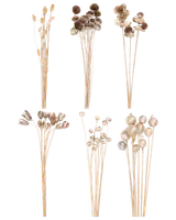 Torkade grenar silver 95-100 cm