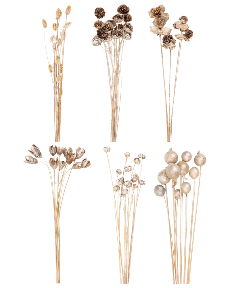 Torkade grenar silver 95-100 cm