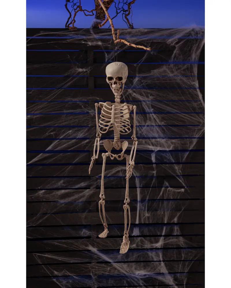 Halloween-skelett 70 cm