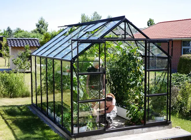 Växthus i glas med svart metallram, sadeltak och skjutdörr. Fylld med gröna växter och två personer som arbetar inuti. Passar för hemmaträdgård.