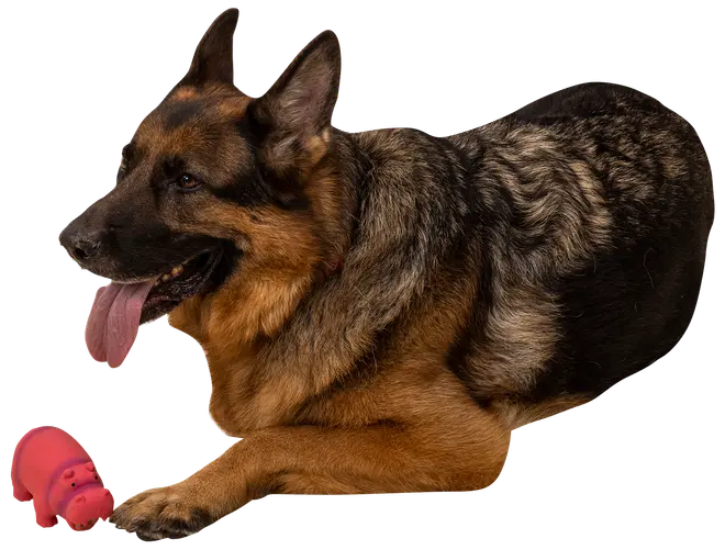 Hundleksak latexflodhäst 15 cm