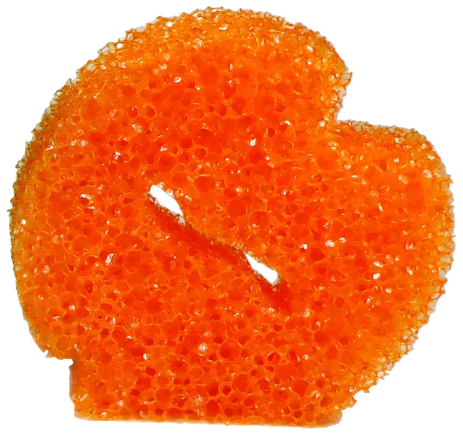 Multifunktionell skursvamp