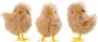 Påskkycklingar H. 7 cm 3-pack