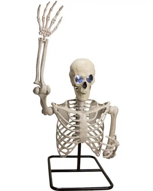 Plastikskelet torso med løftet arm, blå LED-øjne og metalstand. Perfekt til Halloween dekoration eller anatomisk udstilling. Realistiske knogledetaljer og bevægelige led til posering.