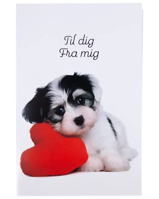 Kort med kuvert 11x17 cm - hund med hjerte
