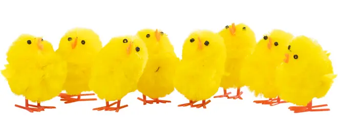 Påskkycklingar H. 4 cm 8-pack