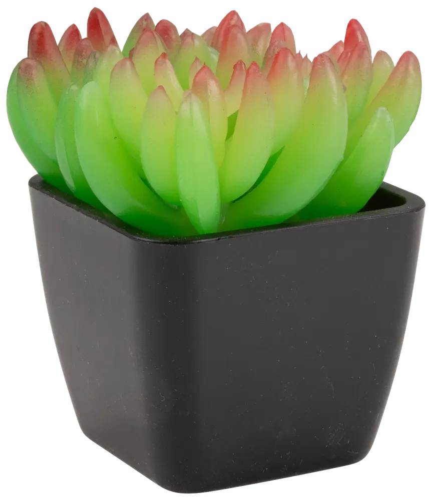 Konstgjord suckulent med gröna blad och röda toppar i en liten, svart fyrkantig kruka. Realistisk design, kräver ingen skötsel.