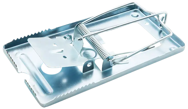 Metalfælde til mus med fjederbelastet stang og lokkemadsplade. Holdbar, genanvendelig og nem at anvende til effektiv bekæmpelse af gnavere indendørs eller udendørs.