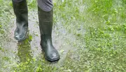 Ett par mörkgröna gummistövlar används utomhus, står i vått gräs och grunt vatten. Stövlarna är knähöga, vattentäta och passar för trädgårdsarbete eller regn.