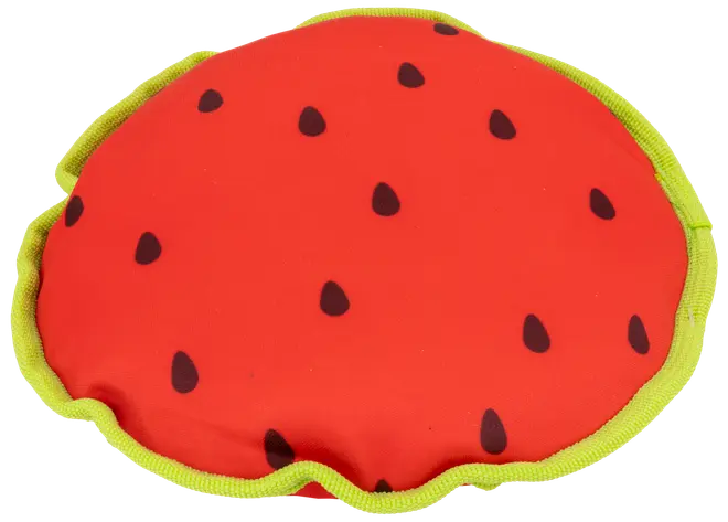 DanPet Hundelegetøj marked B - assorterede designs