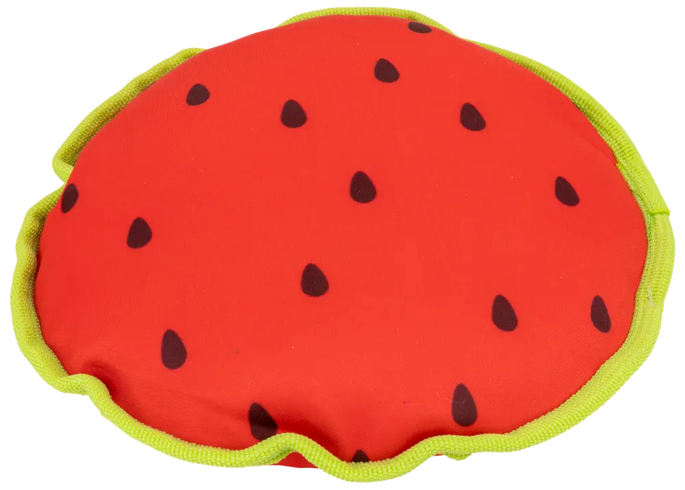 DanPet Hundelegetøj marked B - assorterede designs