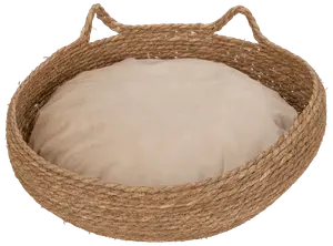Kattekurv flet