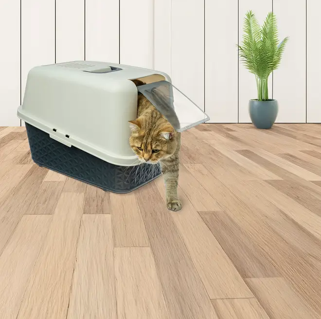 Kattetoilet 36,5 x 38,5 x 53,5 cm