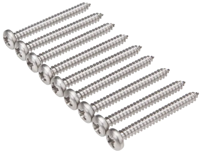 Plåtskruv A4 5,5x50 10 st