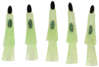 Halloween-häxfingrar 10-pack