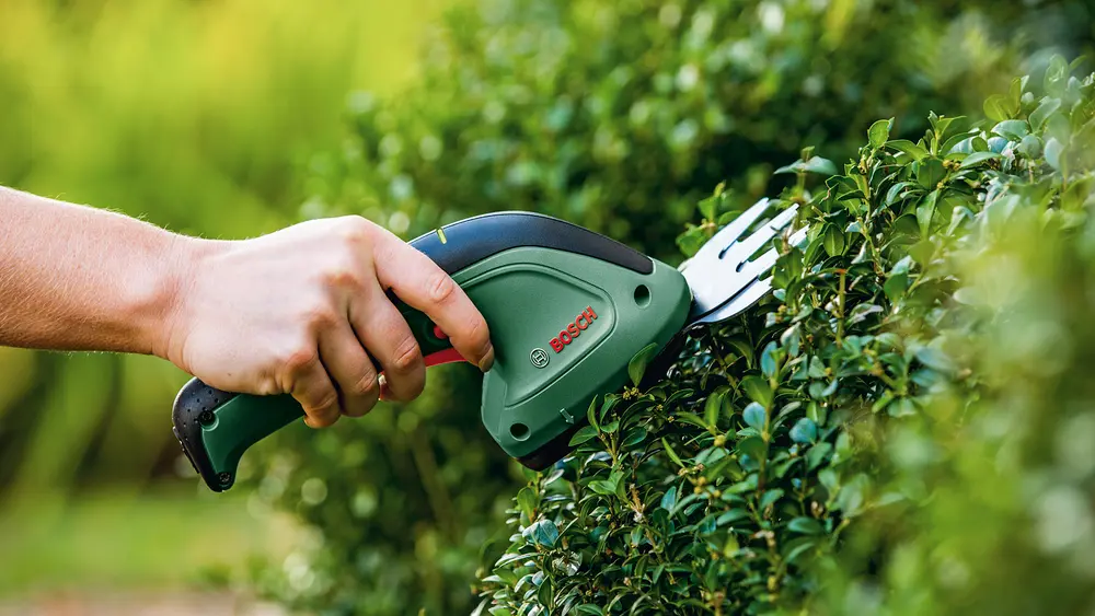 Bosch Multiklipper EasyShear 3,6V