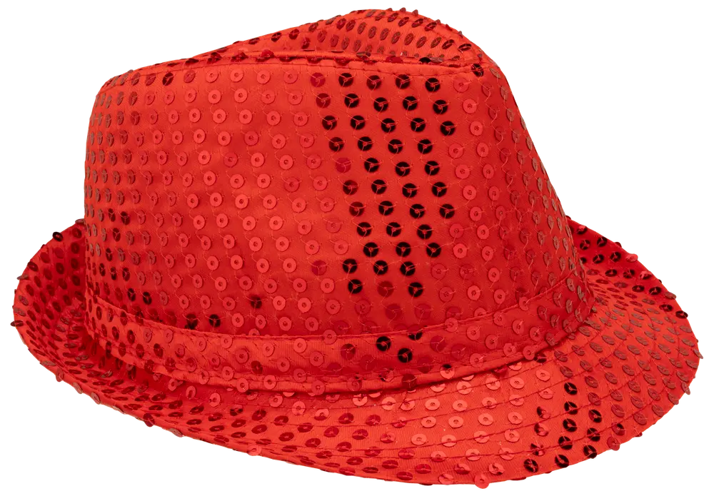 Nyårshatt paljetter