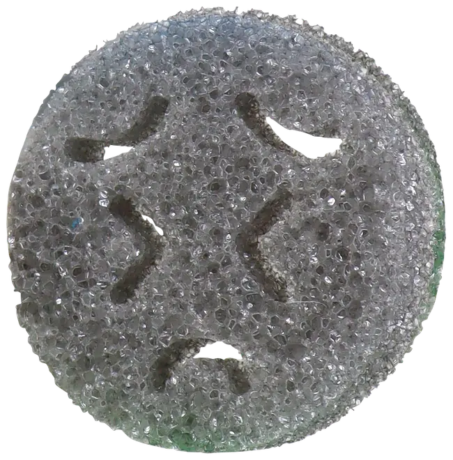 Multifunktionell skursvamp