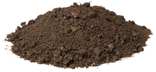 En bun løs, mørkebrun havesjord med små klumper og organisk materiale, velegnet til plantning, landskabspleje eller potning. Teksturen er smuldrende og luftig.