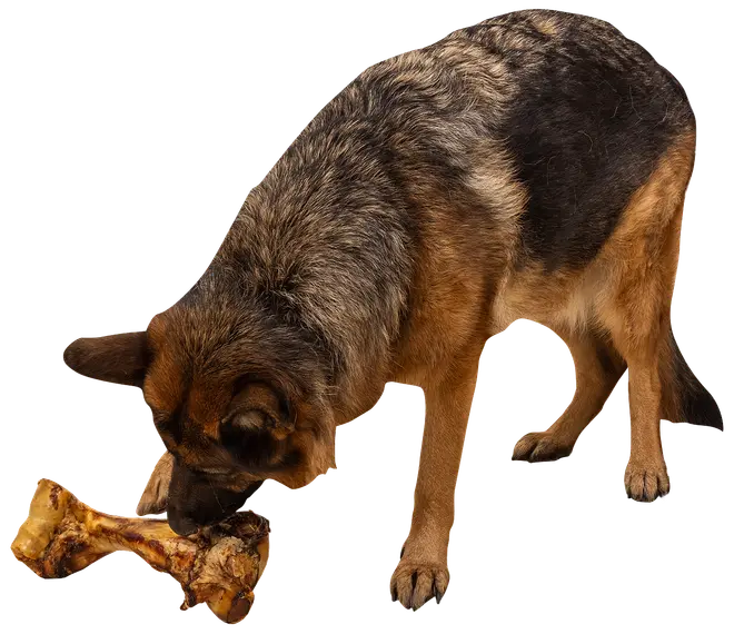 Chrisco Slagterben 1700-2000 g